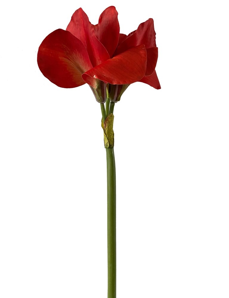 Kunst-Stielblume Amaryllis hellrot ca.70 cm 